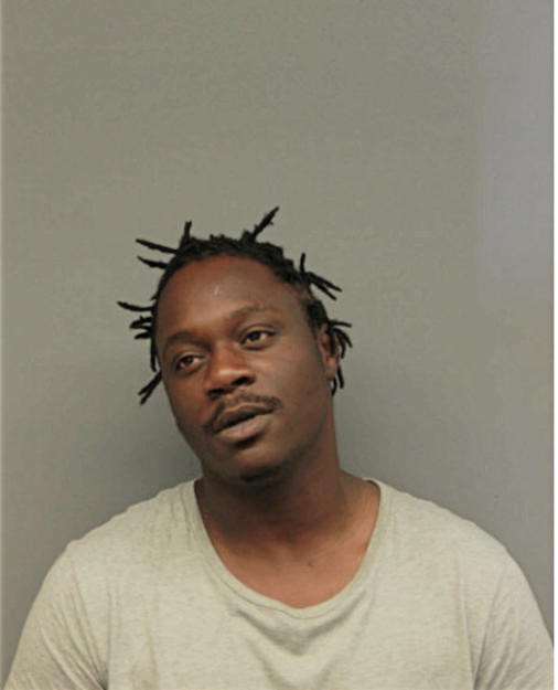 GEORGE C WILLIAMS, Cook County, Illinois