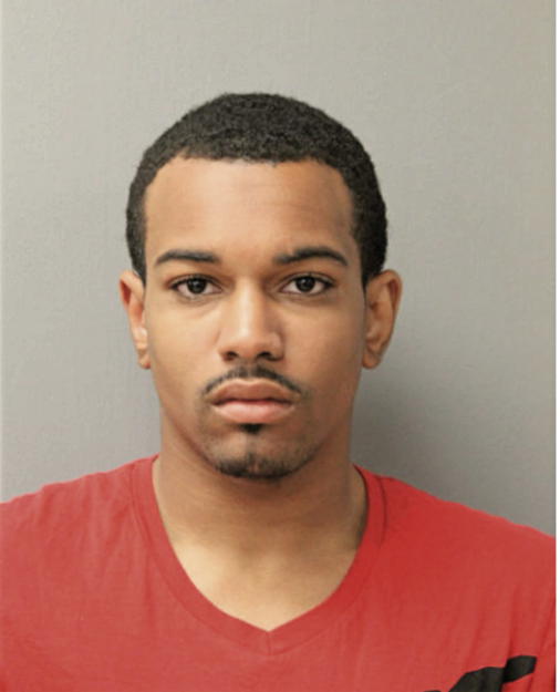 BRANDON M WYNN, Cook County, Illinois