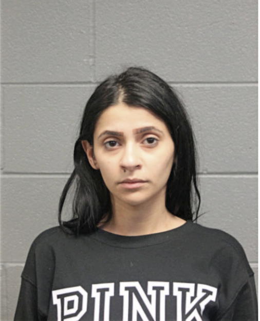 SUZAN ALBADAREEN, Cook County, Illinois