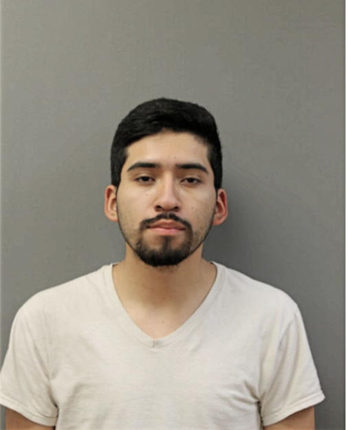 HEBERT ALDAIR BARREDA-DIAZ, Cook County, Illinois