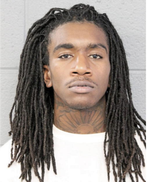 LESEAN D BROWN, JR, Cook County, Illinois