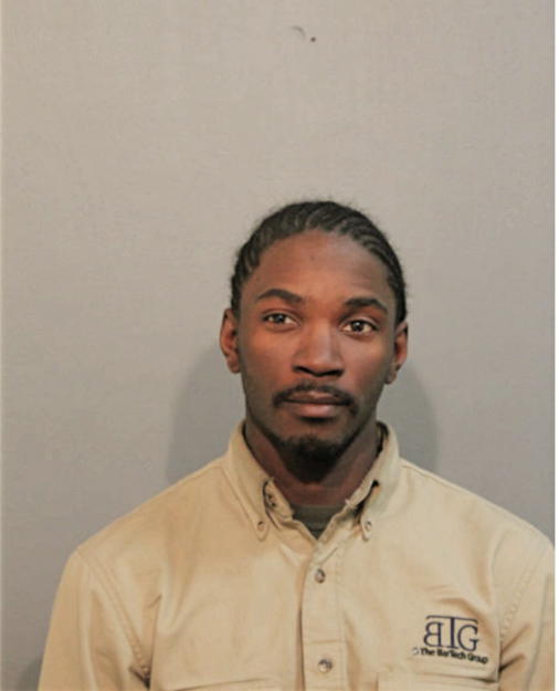MATTHEW R BROWN, Cook County, Illinois
