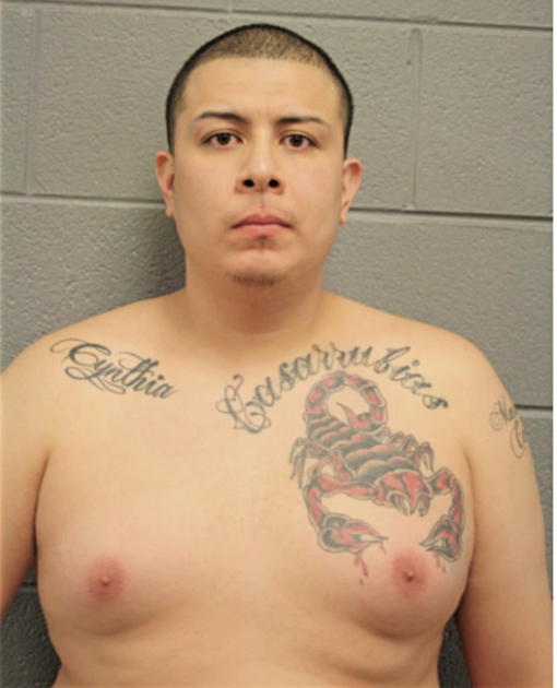 JOSE CASARRUBIAS, Cook County, Illinois