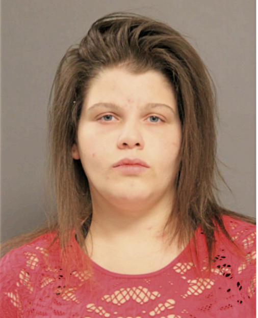AMBER J CESAK, Cook County, Illinois