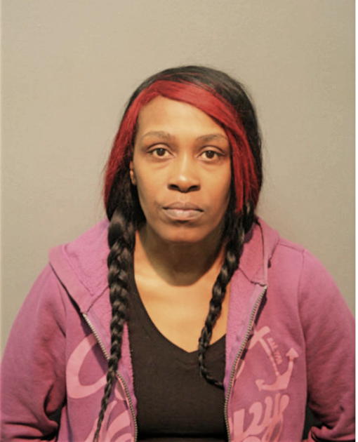 NIKKI S DAVIS, Cook County, Illinois