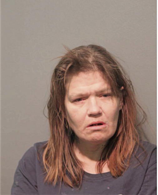 JULIE L FERGUSON, Cook County, Illinois