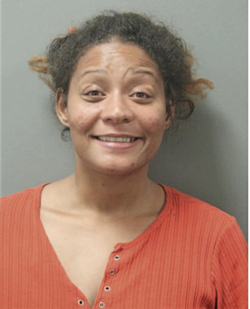 LAURA A HUDSON, Cook County, Illinois