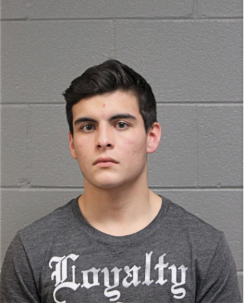STEPHAN A LEWIKOWSKI, Cook County, Illinois