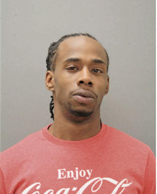 CHRISTOPHER C NELSON, Cook County, Illinois