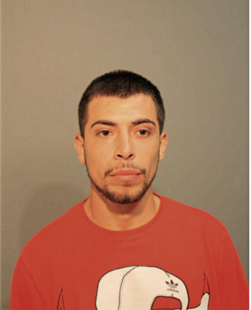 JESUS G ORTEGA, Cook County, Illinois