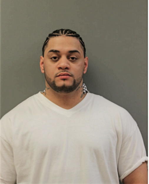 NICOLAS D ORTIZ, Cook County, Illinois