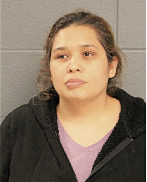 FLOR E PINA-ZEPEDA, Cook County, Illinois