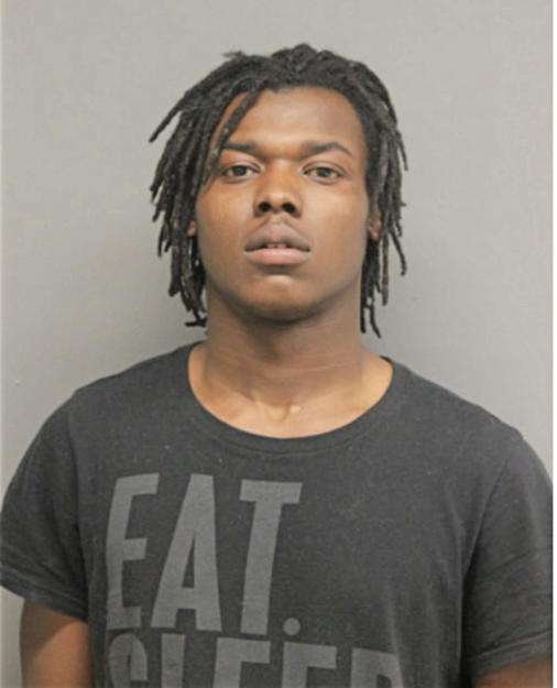 JONATHAN R REESE, Cook County, Illinois