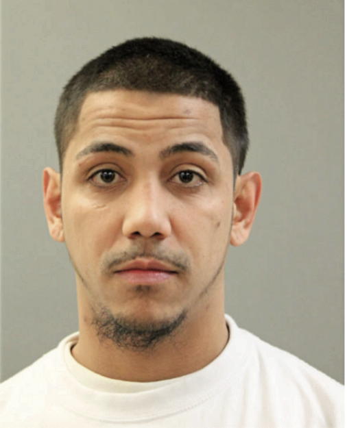 FREDDIE E SANTIAGO, Cook County, Illinois