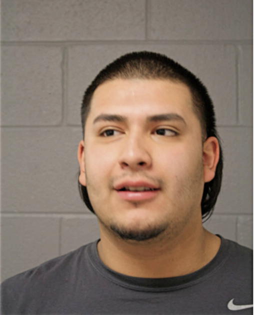ERIK A TEJEDA, Cook County, Illinois