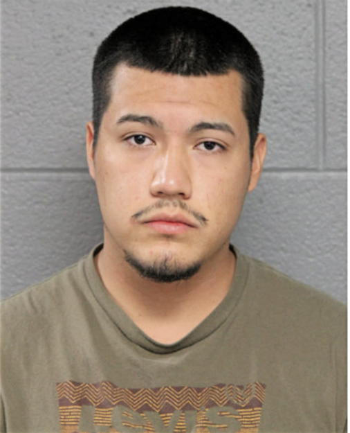 JOSUE J TREJO, Cook County, Illinois