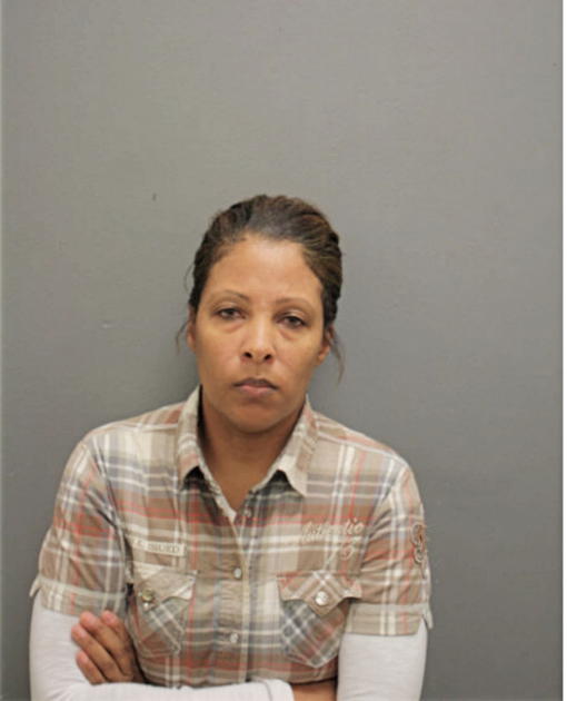 DONIELLE R TROTTER, Cook County, Illinois