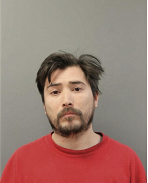 CHRISTIAN F VILLAGOMEZ, Cook County, Illinois