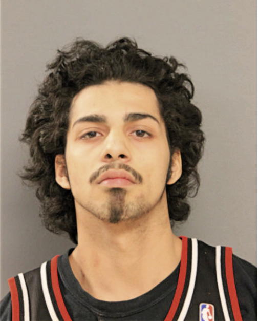 GUILLERMO M VIRAMONTES, Cook County, Illinois