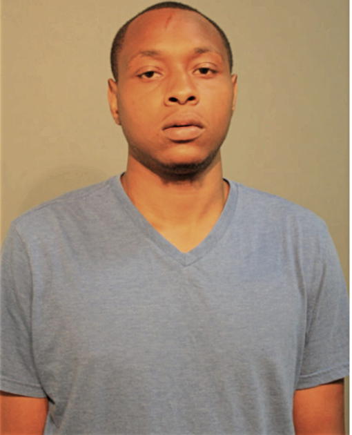 NATHANIEL L WILLIAMS, Cook County, Illinois