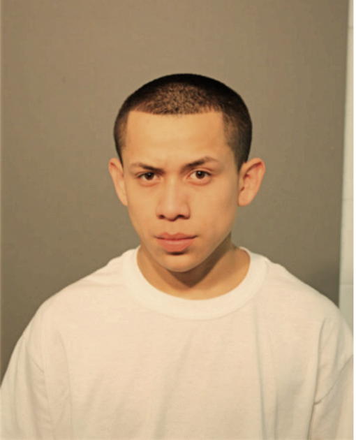 DANIEL ALCANTARA, Cook County, Illinois