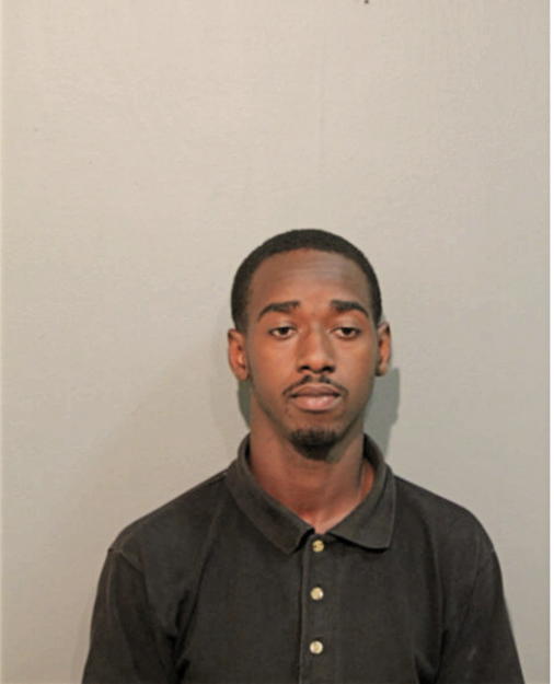 STEPHEN J ALEXANDER, Cook County, Illinois