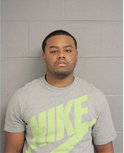 ERIC T ANDERSON, Cook County, Illinois