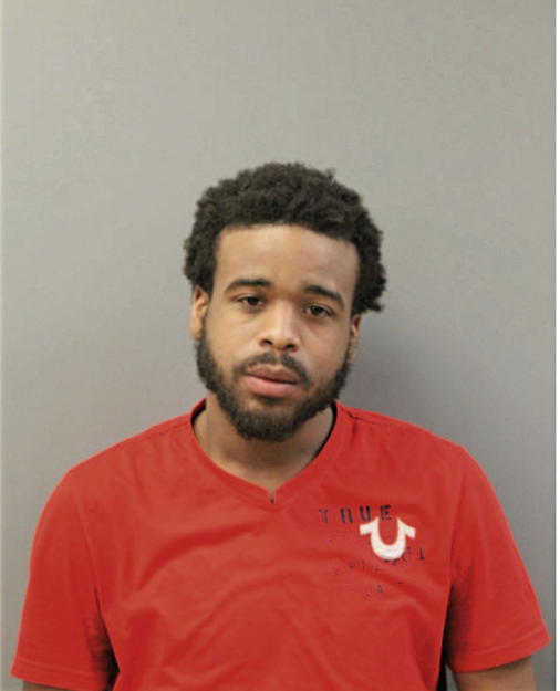 MICHAEL B BLAKE, Cook County, Illinois