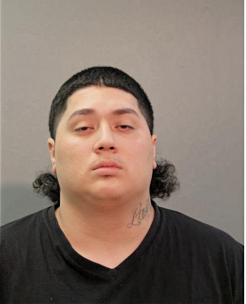 JOSE DAVID CASTILLO-ZEPEDA, Cook County, Illinois