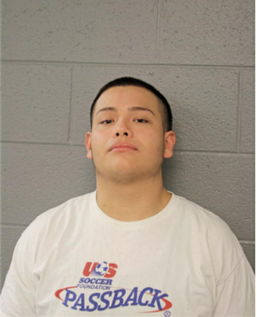 JESSE N CHAVEZ, Cook County, Illinois