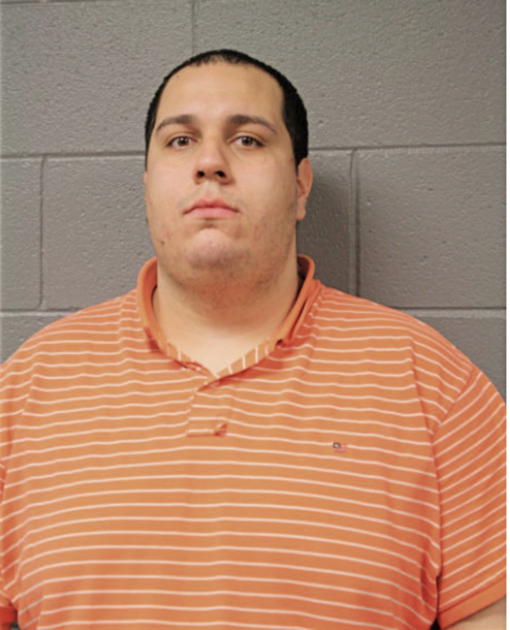 ANGEL F CRUZ, Cook County, Illinois