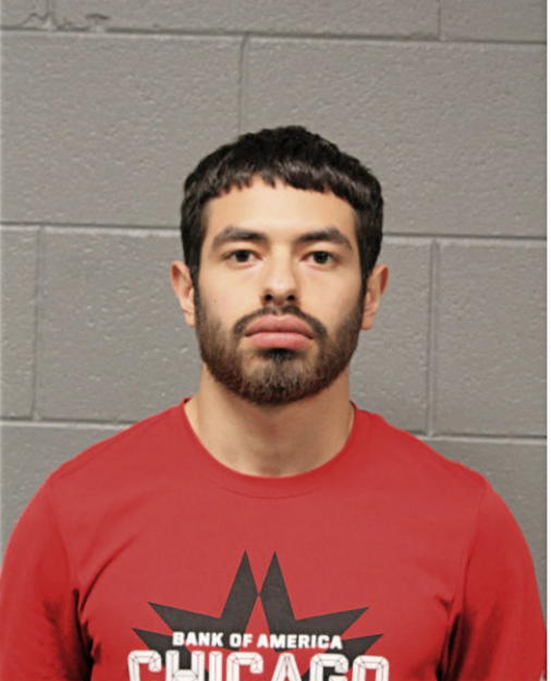 IVAN DELGADO, Cook County, Illinois