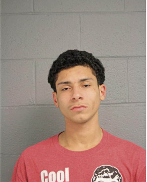 MARDARIUS ERNEST, Cook County, Illinois