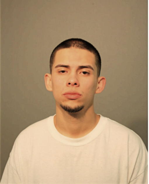 MATHEW FABIAN, Cook County, Illinois
