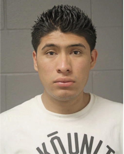 WALTER J GONZALEZ CANENGUEZ, Cook County, Illinois