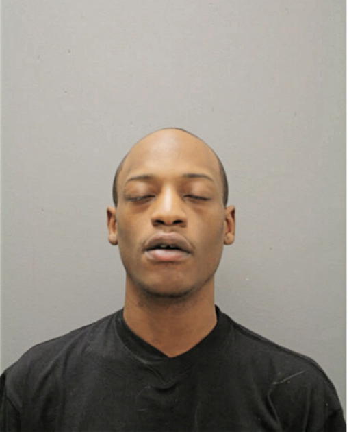 IAN J HAMPTON, Cook County, Illinois