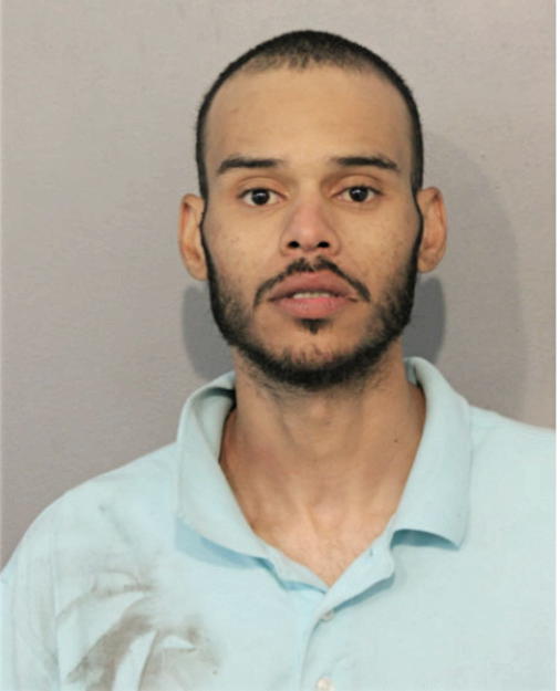 BRIAN A HAYES-ADAMS, Cook County, Illinois
