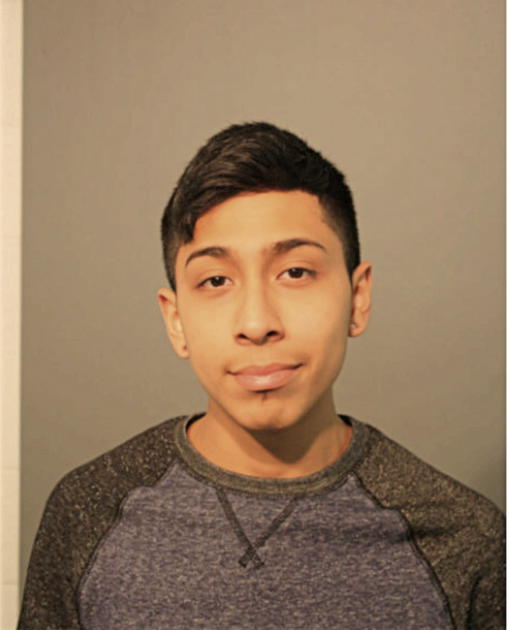 ARGENIS HERNANDEZ, Cook County, Illinois