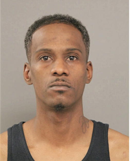 LANG T HUDSON, Cook County, Illinois