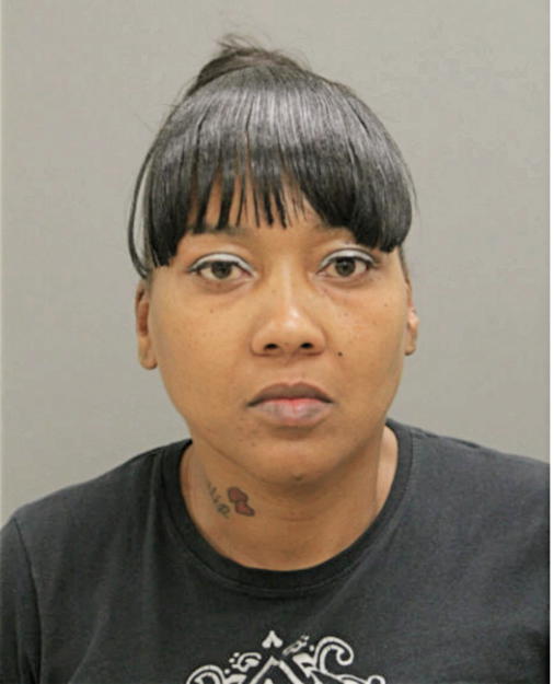 ELISE J JOHNSON, Cook County, Illinois