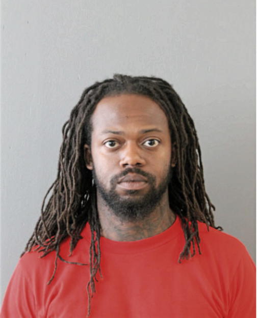 JUSTIN T JOHNSON, Cook County, Illinois