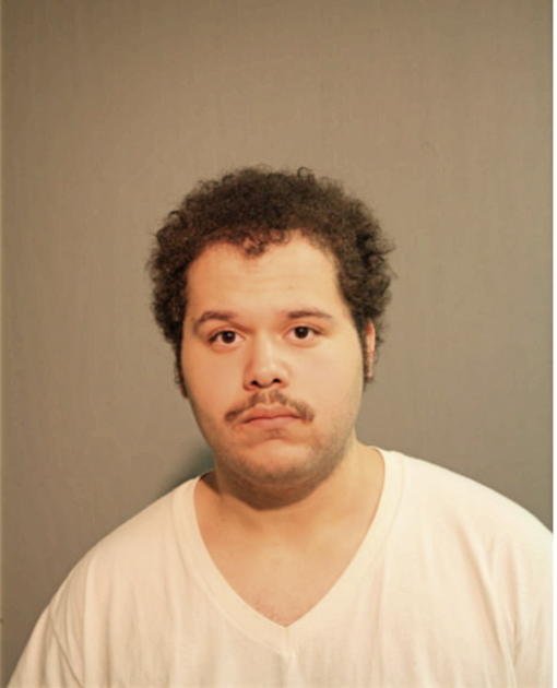 SEAN B LEWIS, Cook County, Illinois