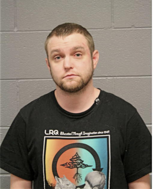 MITCHELL L MCGANN, Cook County, Illinois