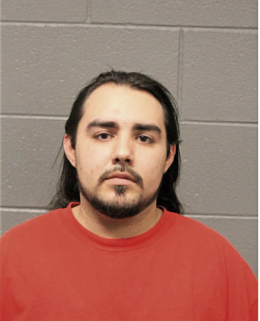 NOEL RIVAS, Cook County, Illinois