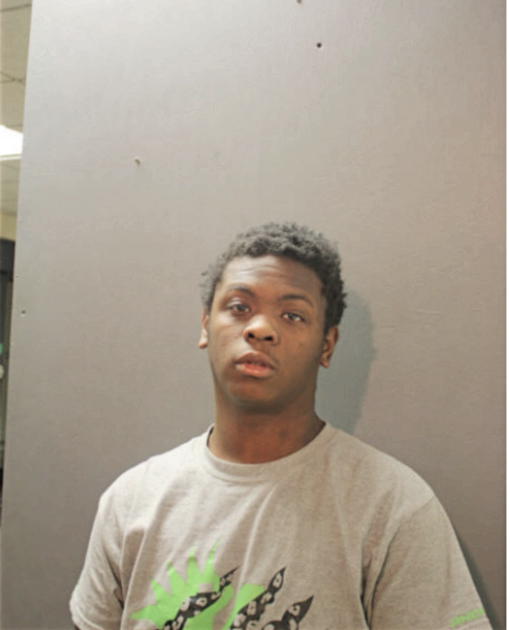 ANDREW A ROBINSON, Cook County, Illinois