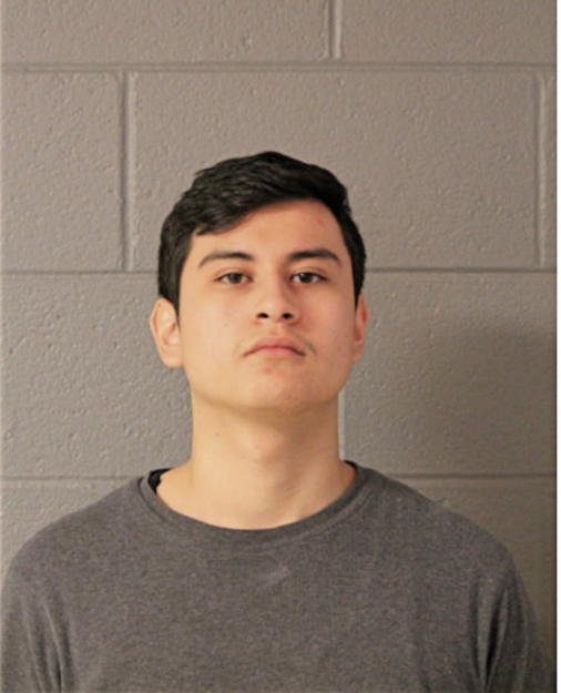AGUSTIN RUIZ, Cook County, Illinois
