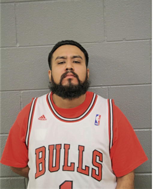NAPOLEON D SALGADO, Cook County, Illinois