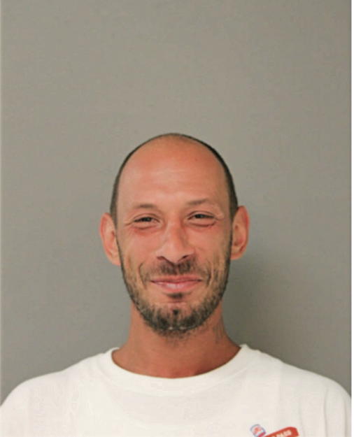 MICHAEL J SCHMIDT, Cook County, Illinois
