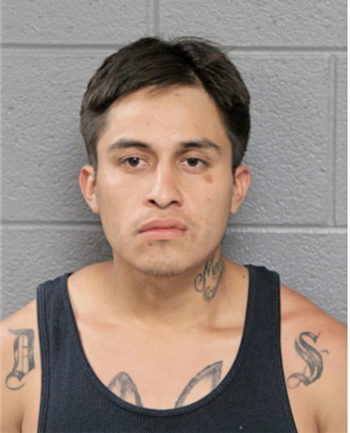 LUIS VASQUEZ, Cook County, Illinois