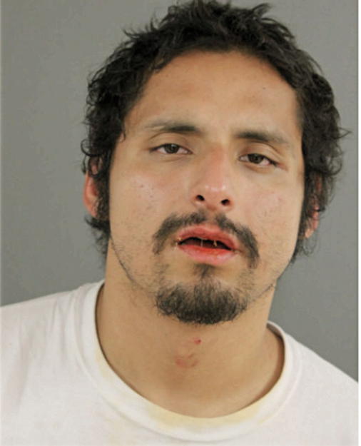 FRANCISCO VEGA, Cook County, Illinois